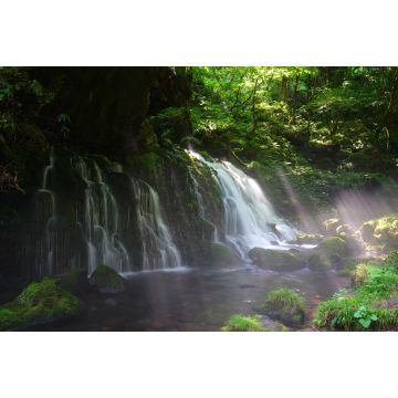 Lais Puzzle - Mototaki Wasserfälle, Nikaho, Akita, Japan - 2.000 Teile