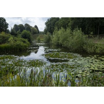 Lais Puzzle - Festung Bourtange - Festungsgraben Niederlande - 2.000 Teile