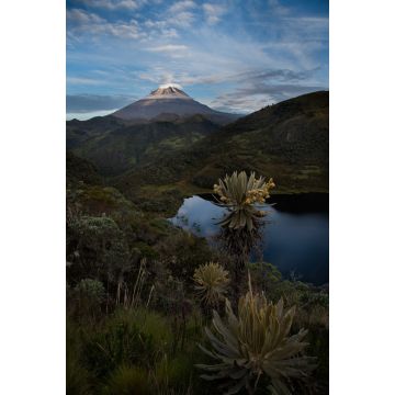 Lais Puzzle - Schöne Landschaft.Tolima verschneit mit frailejones, See und Vegetation. Kolumbien - 2.000 Teile