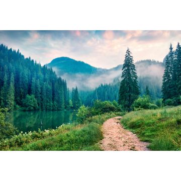 Lais Puzzle - Neblige Morgenszene des Lacu Rosu Sees. Foggy Sommer Sonnenaufgang in Harghita County, Rumänien, Europa. Schönheit der Natur Konzept Hintergrund - 2.000 Teile