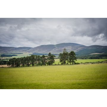 Lais Puzzle - Queens View, Tarland, Aberdeenshire, Schottland - 2.000 Teile
