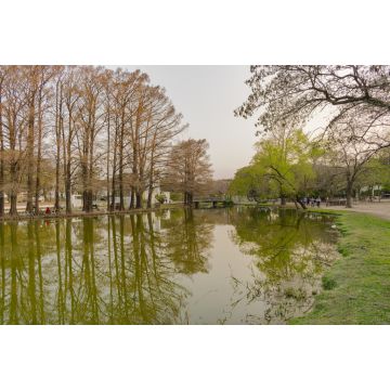 Lais Puzzle - 2 de Febrero Park Resistencia - Chaco - Argentinien - 2.000 Teile