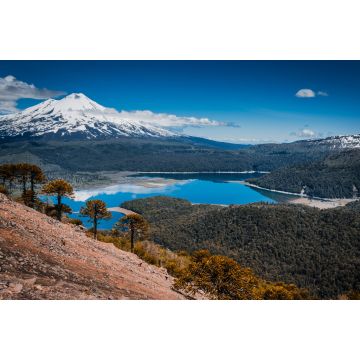 Lais Puzzle - Conguillio Park, Temuco, Chile - 2.000 Teile