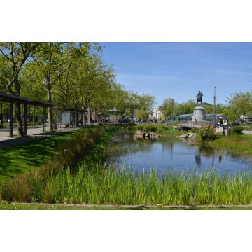 Lais Puzzle - La Roche sur Yon, Vendée, Frankreich - 2.000 Teile