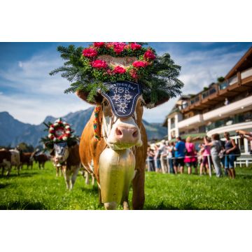 Lais Puzzle - Almabtrieb in Pertisau am Achensee, Tirol / Österreich - 2.000 Teile