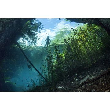 Lais Puzzle - Höhlentauchen in mexikanischen Cenoten, Mexiko - 2.000 Teile