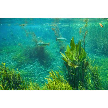 Lais Puzzle - Bonito, Mato Grosso do Sul, Brasilien - 2.000 Teile