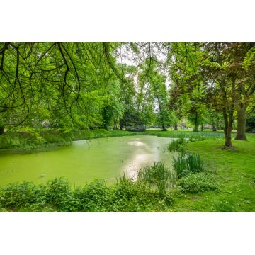 Lais Puzzle - Blick auf den Kellinghusener Park im Stadtteil Eppendorf. Bundesland Hamburg, Deutschland. - 2.000 Teile