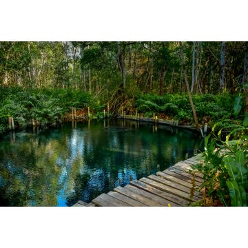 Lais Puzzle - Mangrovenwald am Ria Celestun See, Mexiko - 2.000 Teile