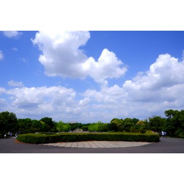 Lais Puzzle - Himmel und Park - 2.000 Teile