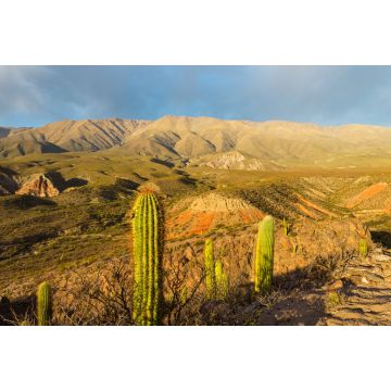 Lais Puzzle - Ruinen von Amaicha - Amaicha del Valle, Tucumán Argentinien - 2.000 Teile