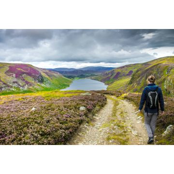 Lais Puzzle - Wanderweg im Cairngorms National Park. Route hinunter zum Loch Lee, Angus, Schottland, UK - 2.000 Teile