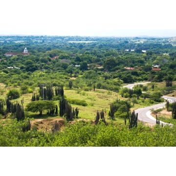 Lais Puzzle - Naturlandschaft in Huila, Neiva, Kolumbien - 2.000 Teile