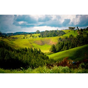 Lais Puzzle - Llanos de Cuiva, Antioquia, Kolumbien - 2.000 Teile