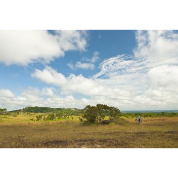 Lais Puzzle - Serrania de la Lindosa, Guayanes-Schild-Formation, Guaviare, Kolumbien - 2.000 Teile