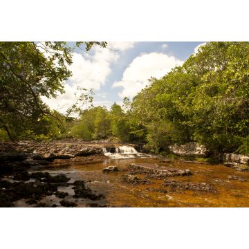 Lais Puzzle - Los Pozos Stream, San Jose del Guaviare, Guaviare, Kolumbien - 2.000 Teile