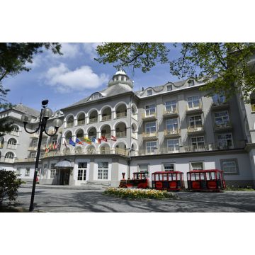 Lais Puzzle - priessnitzsanatorium auf dem gräfenberg - 2.000 Teile