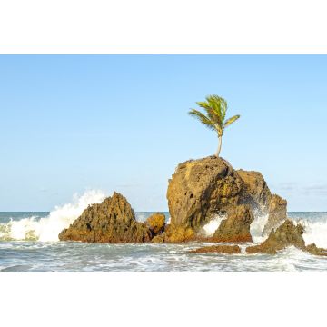 Lais Puzzle - Praias - Paraíba, Brasilien - 2.000 Teile