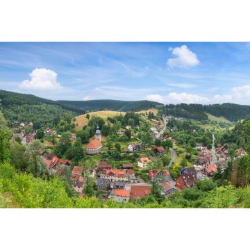 Lais Puzzle - Panoramabild der kleinen idyllischen Bergstadt Wildemann im Harz im Sommer - 2.000 Teile