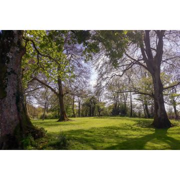 Lais Puzzle - Longford, Irland - 2.000 Teile