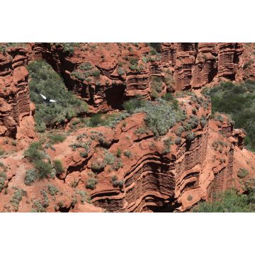 Lais Puzzle - Blick auf Las Quijadas in San Luis, Argentinien - 2.000 Teile
