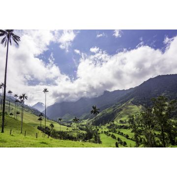 Lais Puzzle - Schöne Tageswanderung Landschaft von Valle del Cocora in Salento, Kolumbien - 2.000 Teile