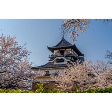 Lais Puzzle - Schloss Inuyama und Kirschblüten, Japan - 2.000 Teile