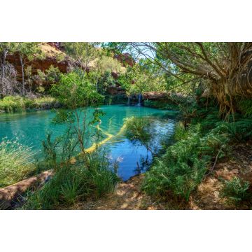 Lais Puzzle - Fern-Pool in der Dales-Schlucht, Karijini-Nationalpark, Westaustralien - 2.000 Teile