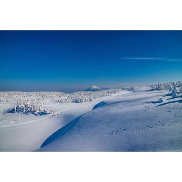 Lais Puzzle - Towada Hachimantai National Park, Japan - 2.000 Teile
