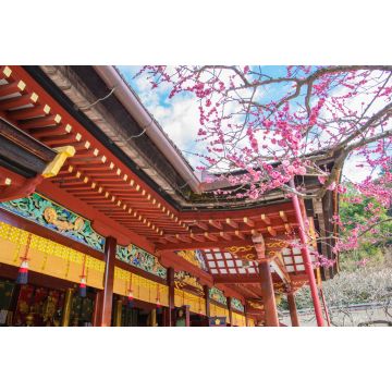 Lais Puzzle - Dazaifu Tenmangu, Hakata, Japan - 2.000 Teile