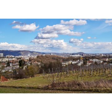 Lais Puzzle - Leonding Oberösterreich - 2.000 Teile