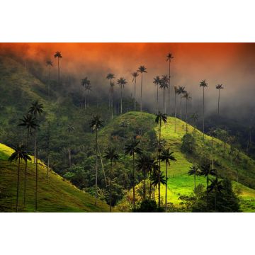 Lais Puzzle - Bewölkte Landschaft des Cocora-Tals, Salento, Kolumbien - 2.000 Teile