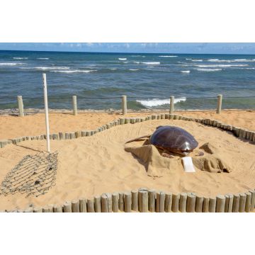 Lais Puzzle - Projekt Tamar am Praia do Forte in Brasilien - 2.000 Teile