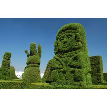 Lais Puzzle - Cimetière de Tulcán, Ecuador - 2.000 Teile