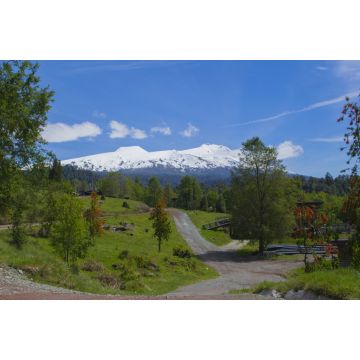 Lais Puzzle - Reserva Huilo huilo, Chile - 2.000 Teile