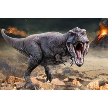 Lais Puzzle - Tyrannosaurus rex - 2.000 Teile