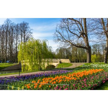 Lais Puzzle - River Cam in der Nähe des Kings College in Cambridge, England - 2.000 Teile
