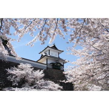 Lais Puzzle - Ishikawa-mon Tor Kanazawa Burg, Japan - 2.000 Teile