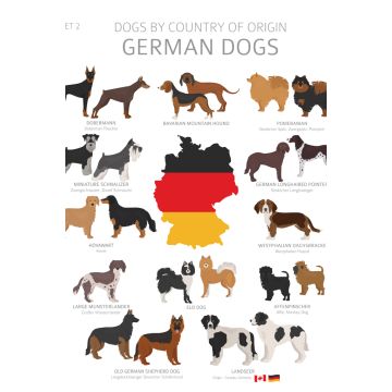 Lais Puzzle - Hunde Deutschlands - 2.000 Teile