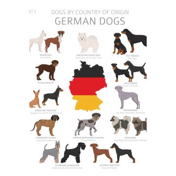 Lais Puzzle - Hunde Deutschlands - 2.000 Teile