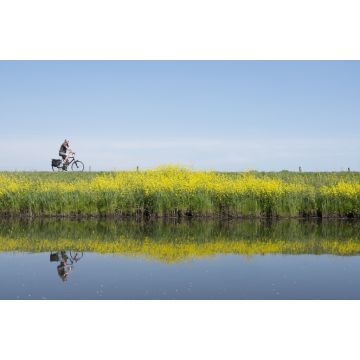 Lais Puzzle - Mann fährt Fahrrad entlang Wasser von Valleikanaal in der Nähe von Leusden in den Niederlanden und passiert gelb blühende Blumen von Raps - 2.000 Teile