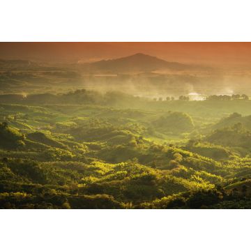 Lais Puzzle - Neblige Landschaft in Buenavista, Quindio, Kolumbien - 2.000 Teile