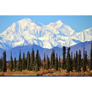 Lais Puzzle - Denali Nationalpark Alaska - 2.000 Teile