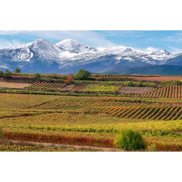 Lais Puzzle - Weinberge mit San Lorenzo Berg als Hintergrund, La Rioja, Spanien - 2.000 Teile