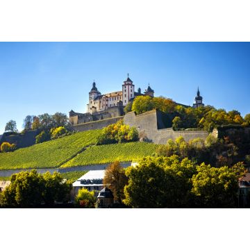 Lais Puzzle - Würzburg, Ansicht mit Weinbergen und Schloss - 2.000 Teile