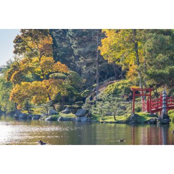 Lais Puzzle - Herbst Park Maulévrier, Frankreich - 2.000 Teile