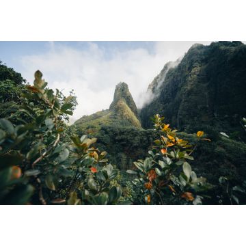 Lais Puzzle - Maui Hawaii - 2.000 Teile