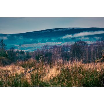 Lais Puzzle - Die Slieve Bloom Mountains, Irland - 2.000 Teile