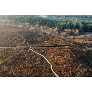 Lais Puzzle - Boardwalk-Wanderweg in den Slieve Bloom Mountains in Irland - 2.000 Teile