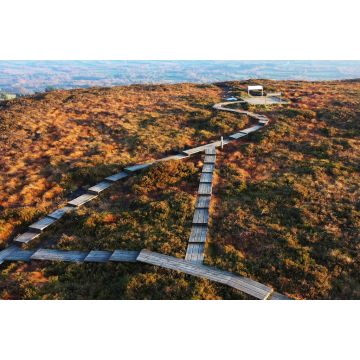 Lais Puzzle - Boardwalk-Wanderweg in den Slieve Bloom Mountains in Irland - 2.000 Teile